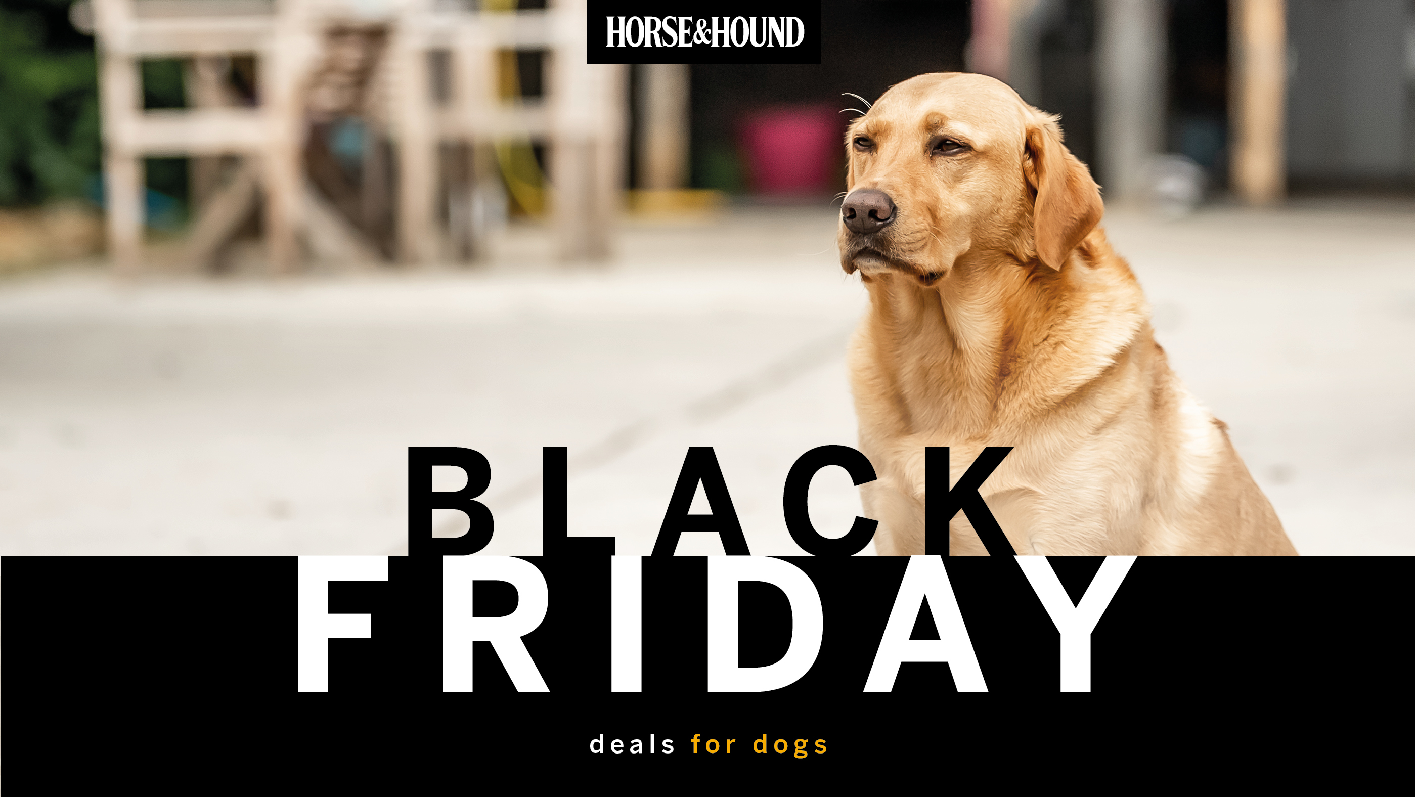 Black Friday dog deals graphic with Horse &amp;amp; Hound logo