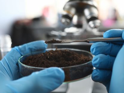 A Scientist Examining Contaminated Soil