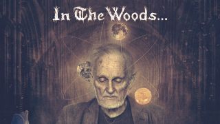 In The Woods album cover