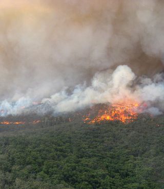 Australian forest fire