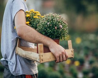 A man carrying plant containers