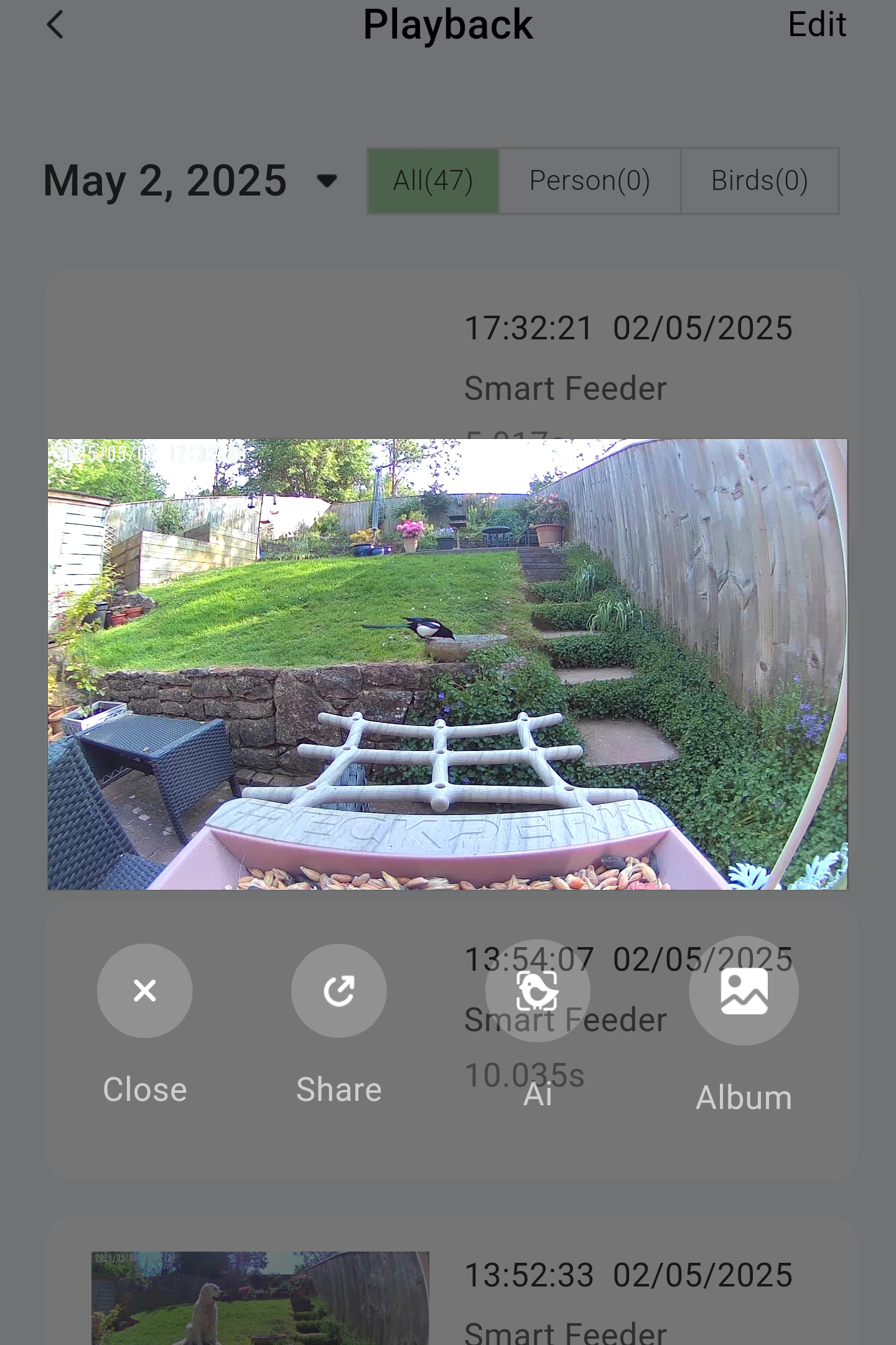 PeckPerk bird camera review