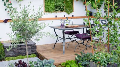 small raised deck in modern garden