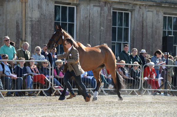Mulrys-Error_Badminton16pn_1524.jpg