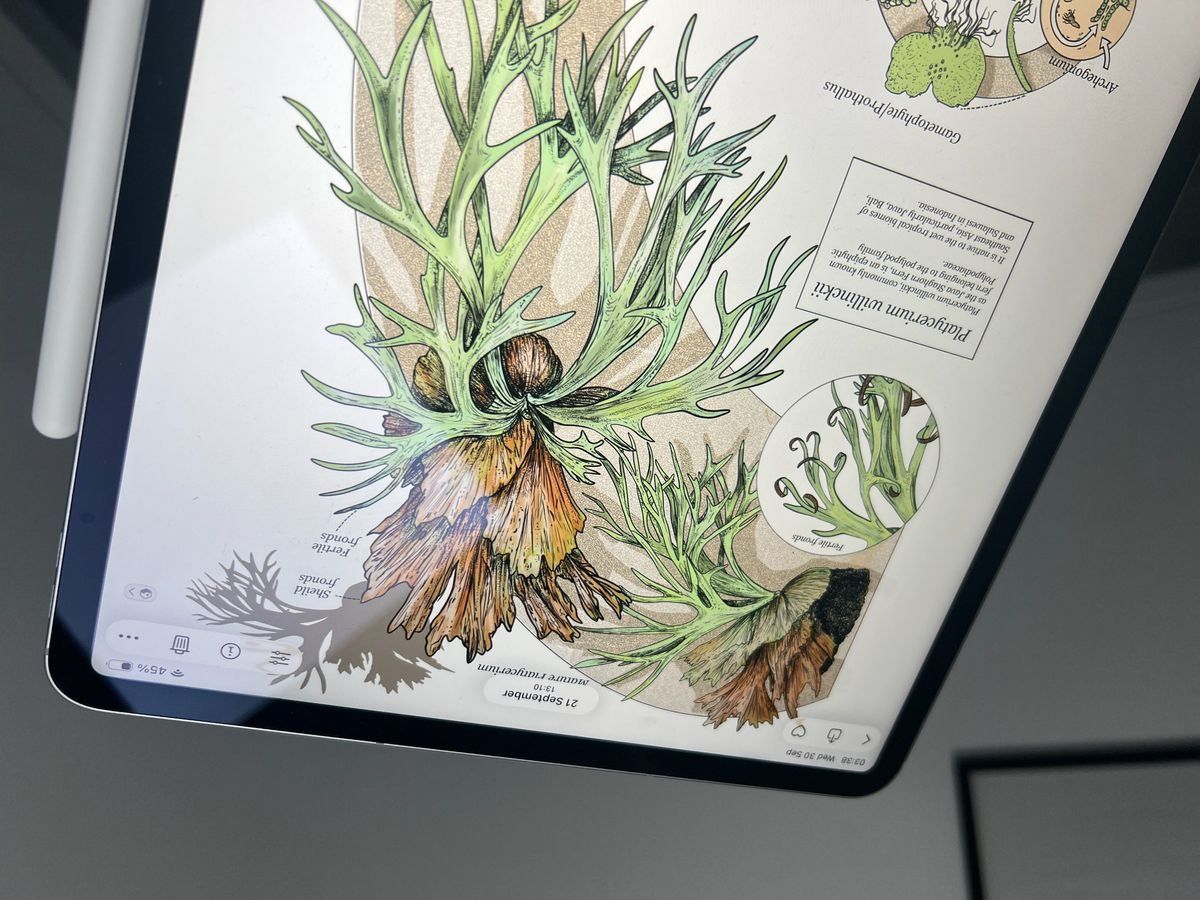 iPad Air images