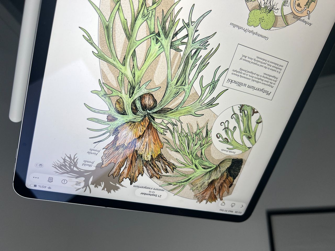 iPad Air images