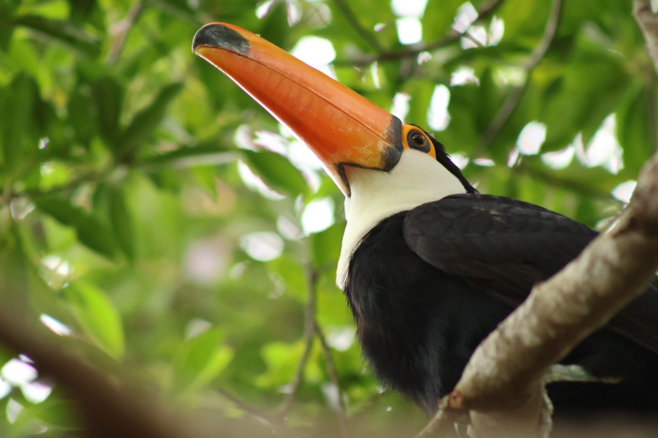 A sample image taken with the Canon RF 75-300mm f/4-5.6 lens