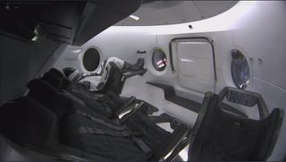 Ripley, SpaceX's Dummy astronaut