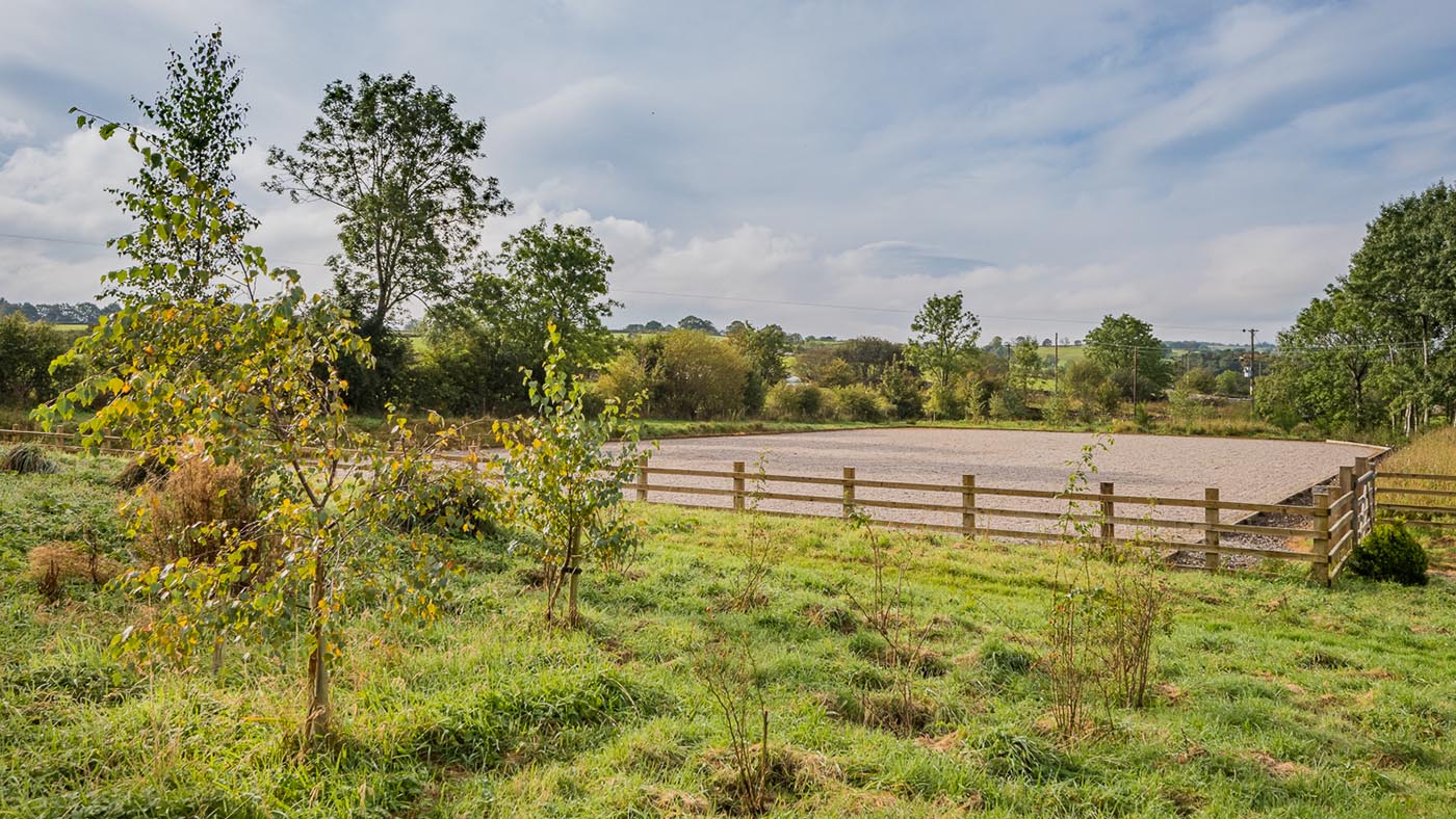 Hayton Holme_HorseArena2_Web