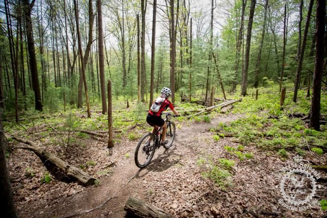 Pennsylvania forests provide a beautiful backdrop for riders as they explore Coopers Gap.