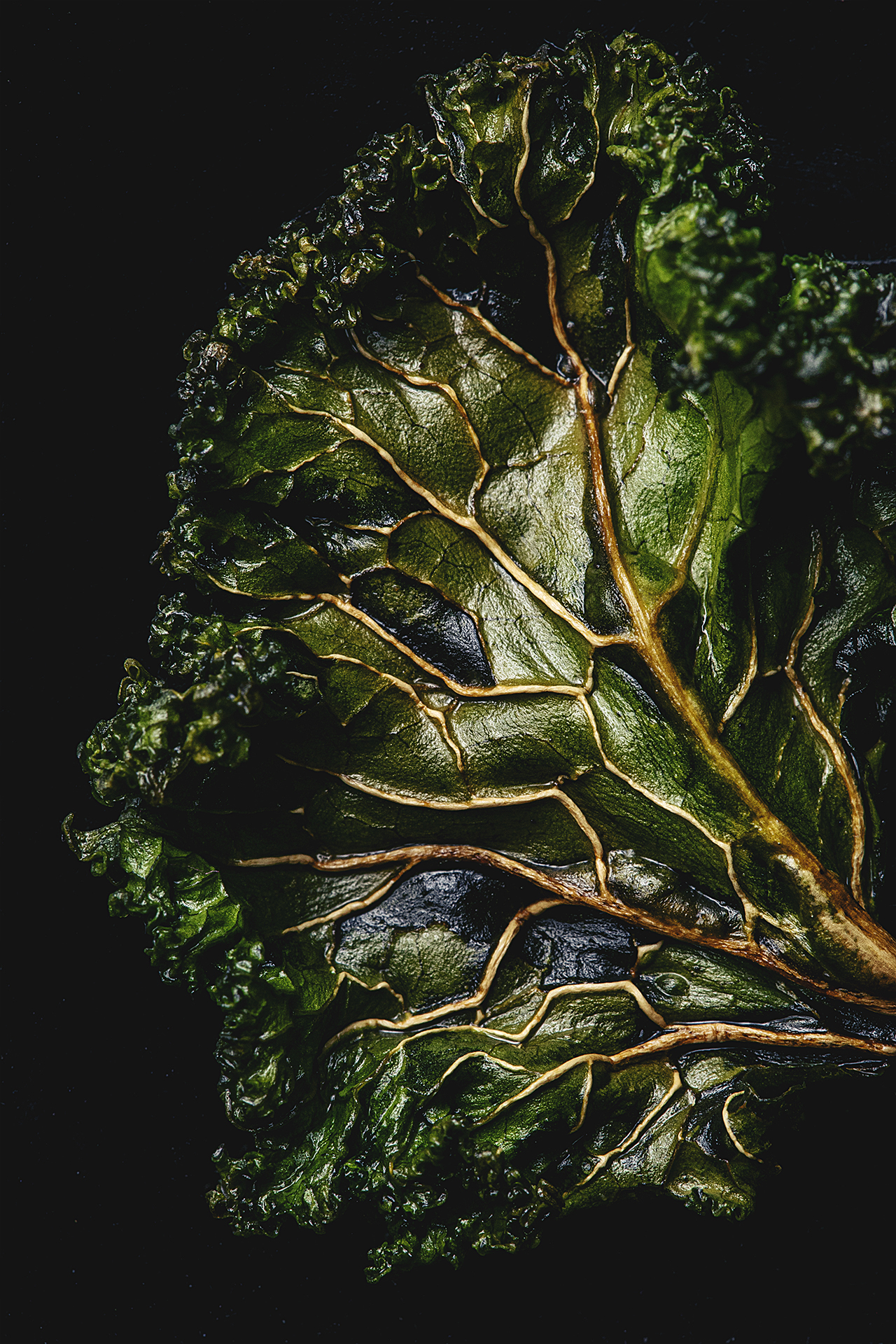 Close-up of a textured kale leaf against a dark background, showcasing its intricate veins and rich green color