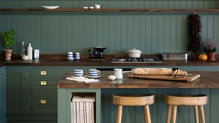 Small kitchen with forest green panelling and open shelving to help solve how to organize a small kitchen with