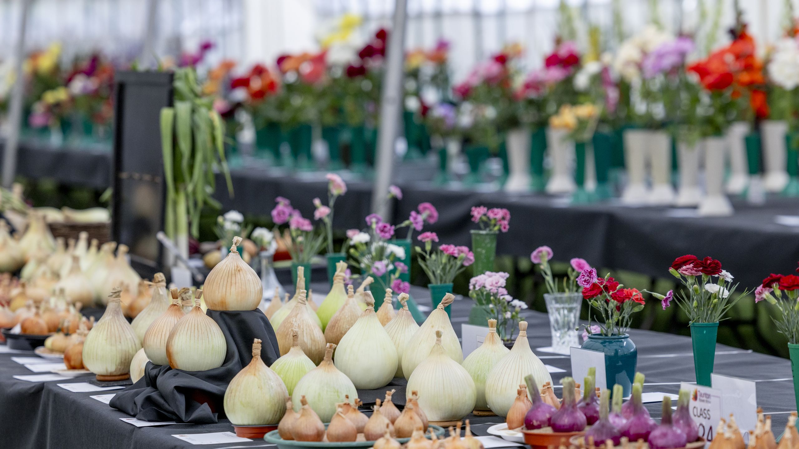 'If the Chelsea Flower Show is the glitzy public face of British gardening, then the country’s amateur flower shows encapsulate its older, gentler side'