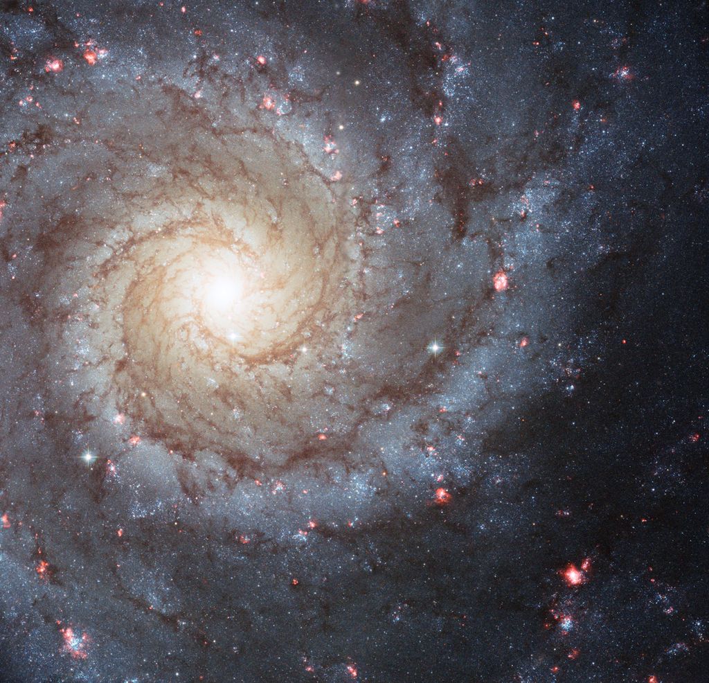 spiral galaxy facts
