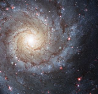 The galaxy Messier 74, shown here by the Hubble Space Telescope, is a classic example of a spiral galaxy.
