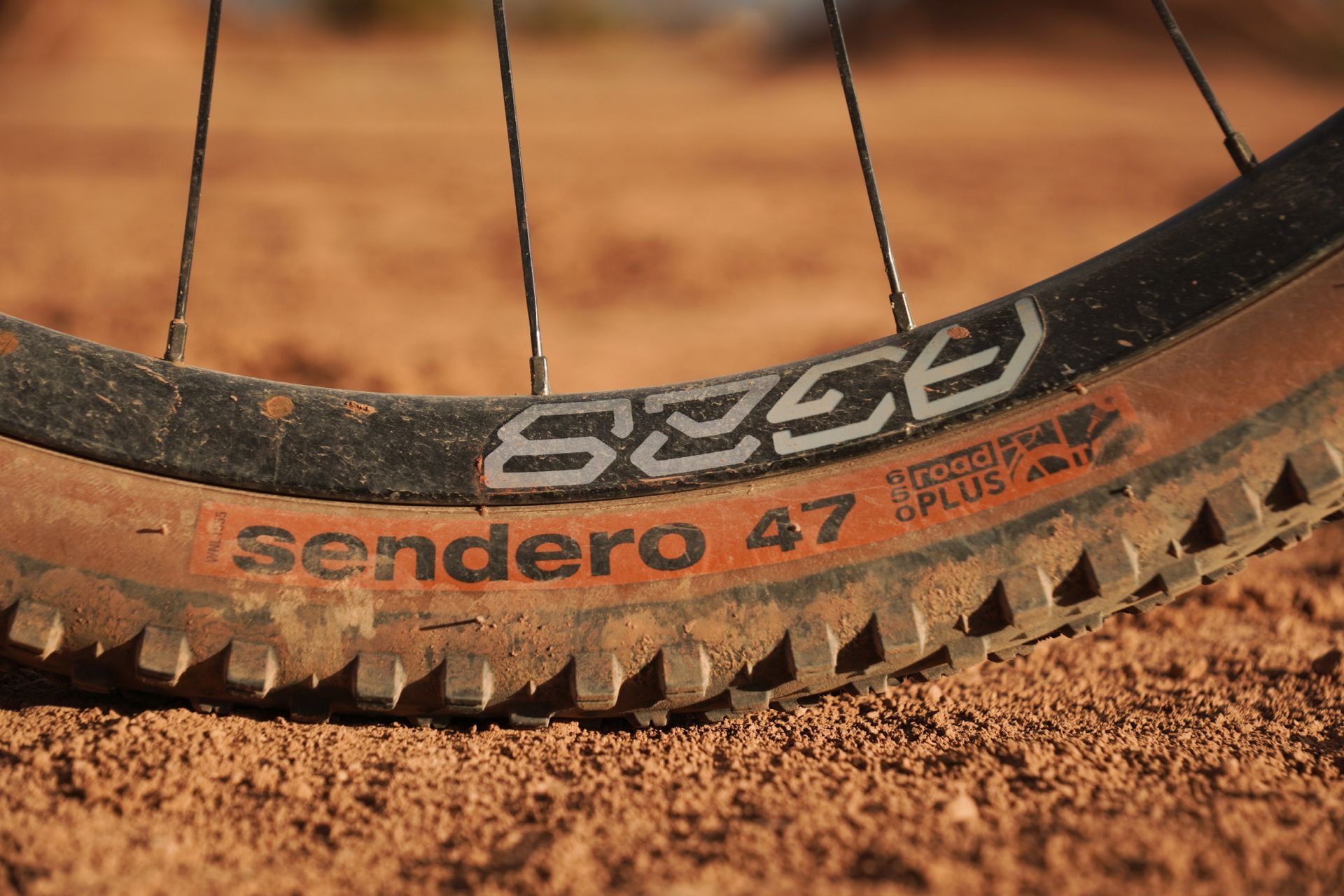 steel vs carbon bike