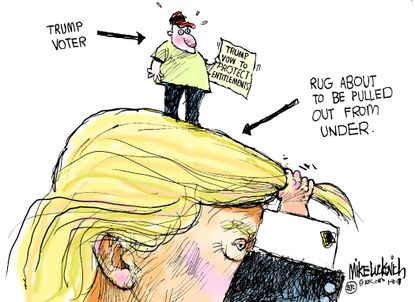 Political cartoon Donald Trump supporter MAGA