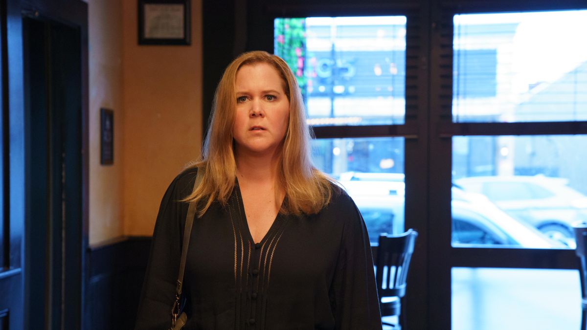 Amy Schumer in Life &amp; Beth