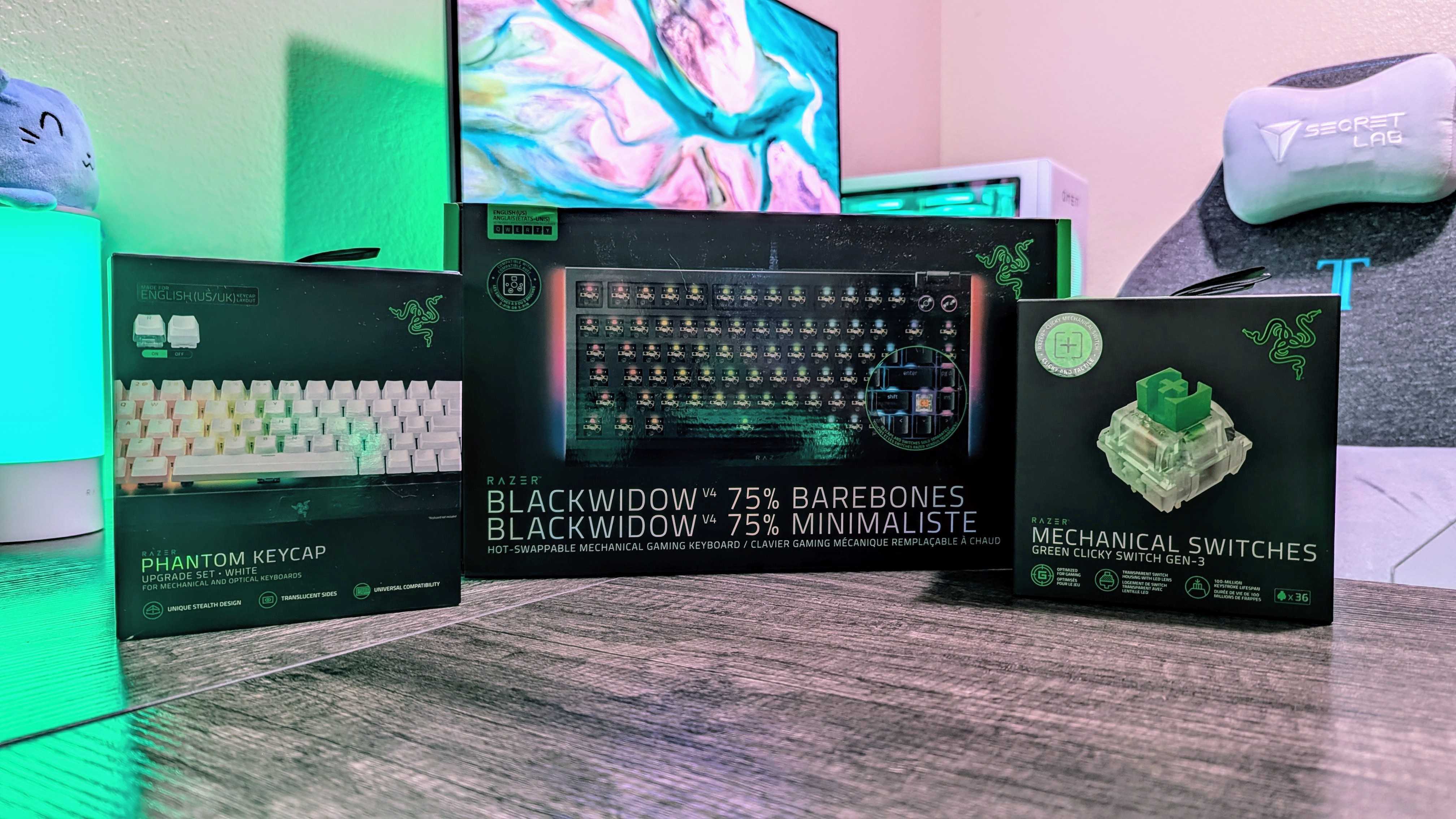 Image of the Razer BlackWidow V4 75% Barebones gaming keyboard.