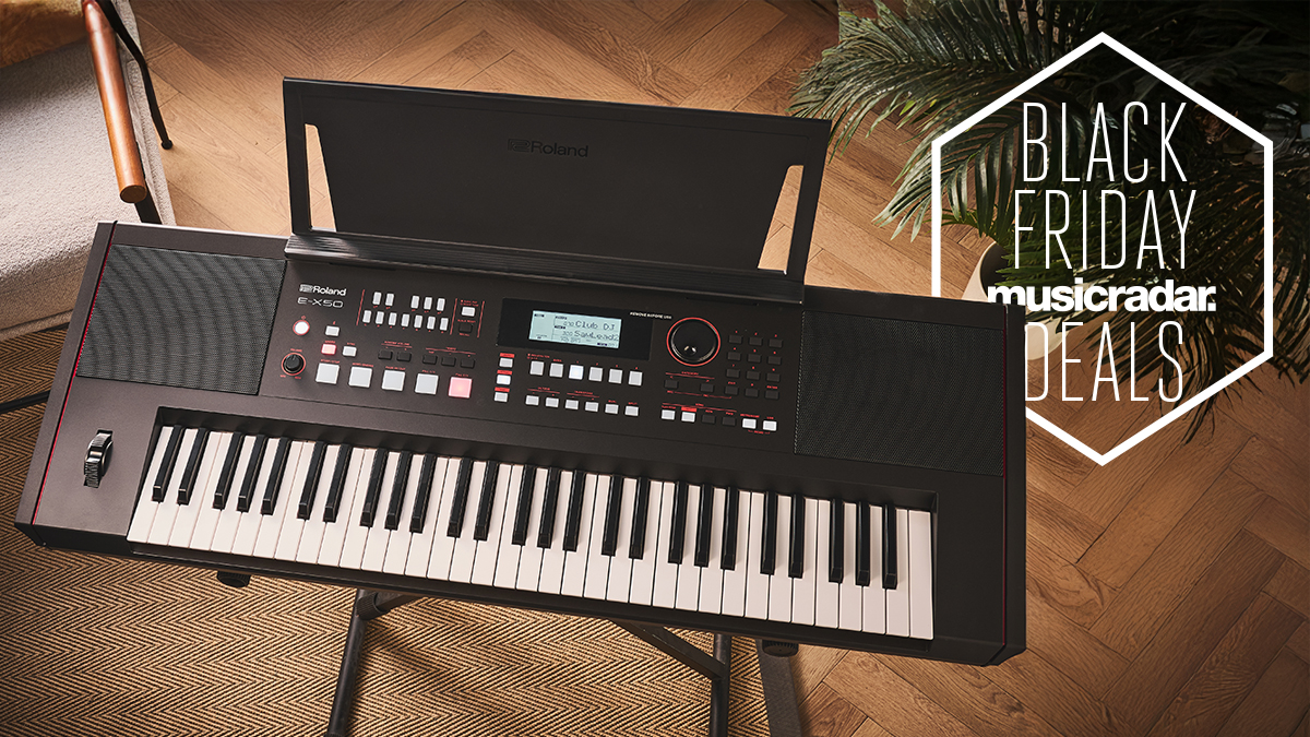 Roland E-X50 in a room with a plant and wooden floor