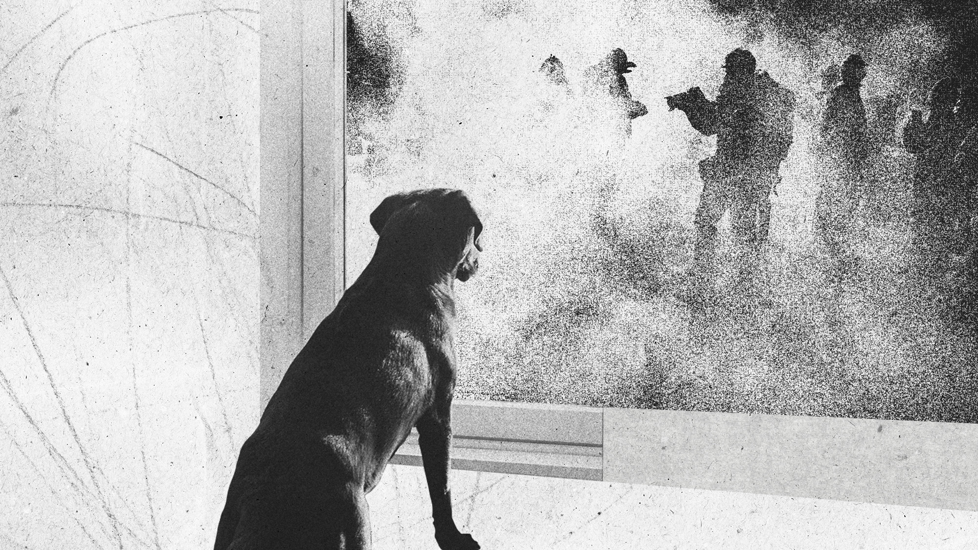 Photo collage of a dog watching an ICE raid through the window