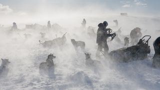 Person and dog team on Fjällräven Polar expedition