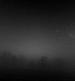 Orion Hunting in Fog