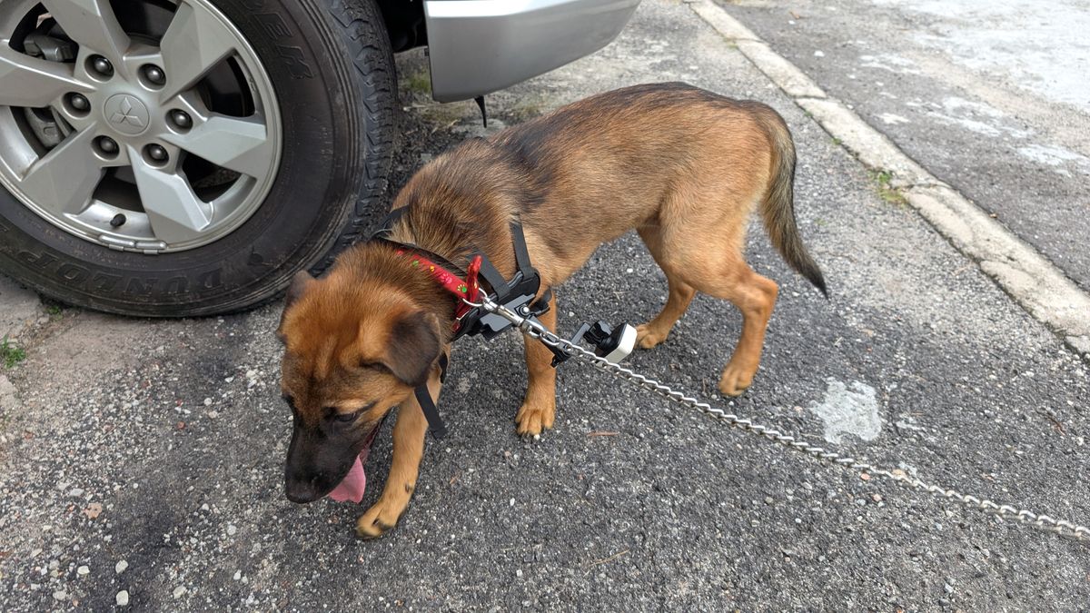 Enabot ROLA PetTracker