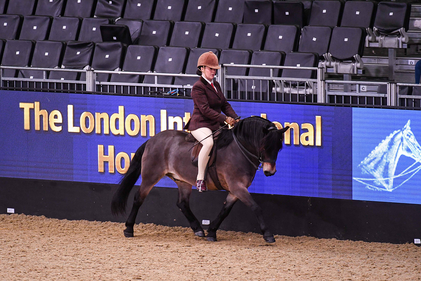 HorseNo30_LIHS_PN21_4879