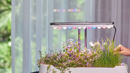 The top mistakes you're making with grow lights