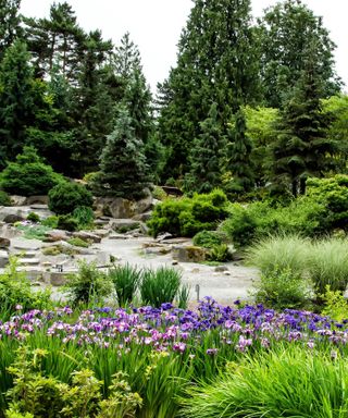 US Botanic Gardens in Washington, lush landscape and flowers