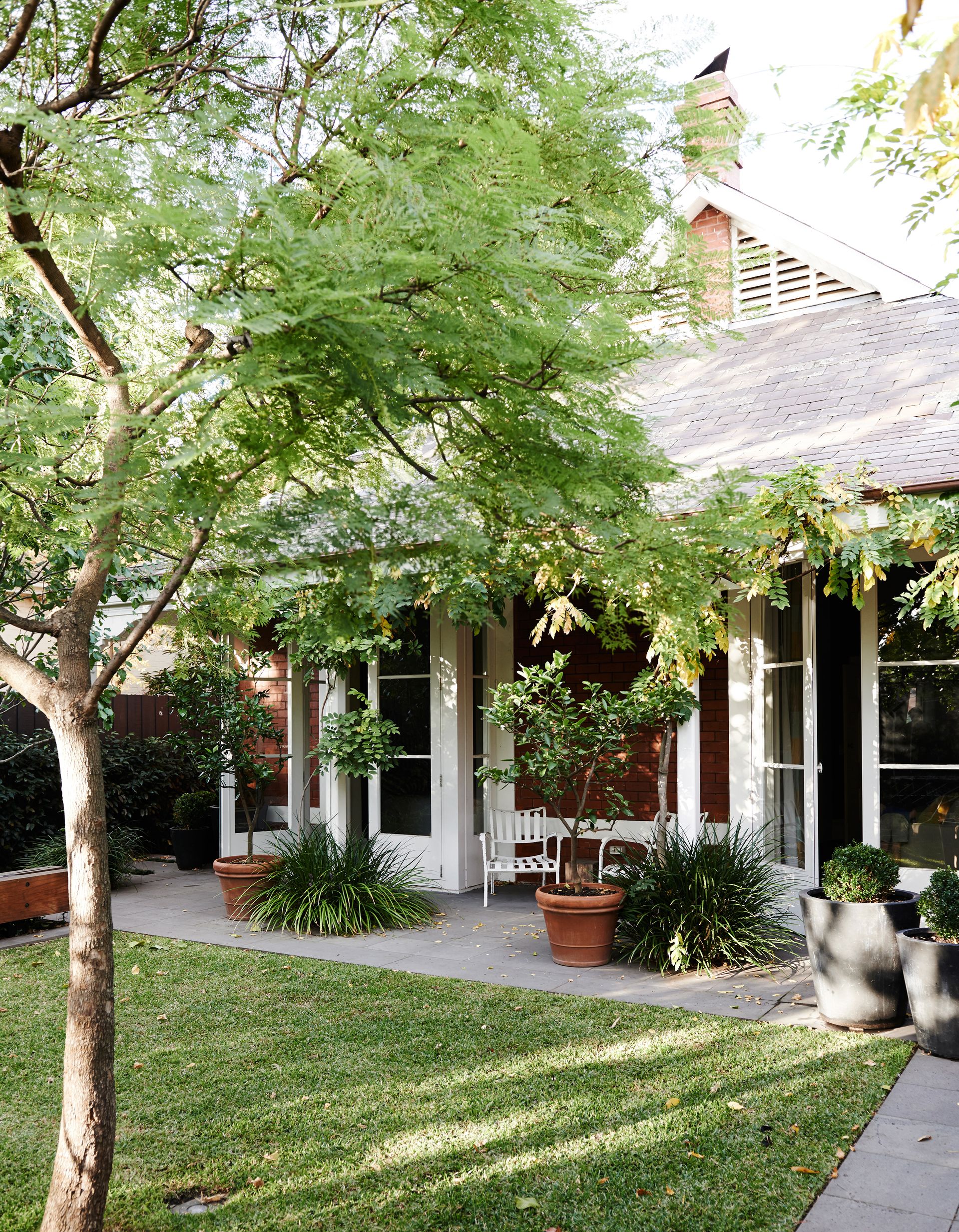 When is the best time of year to plant trees? Experts explain Livingetc