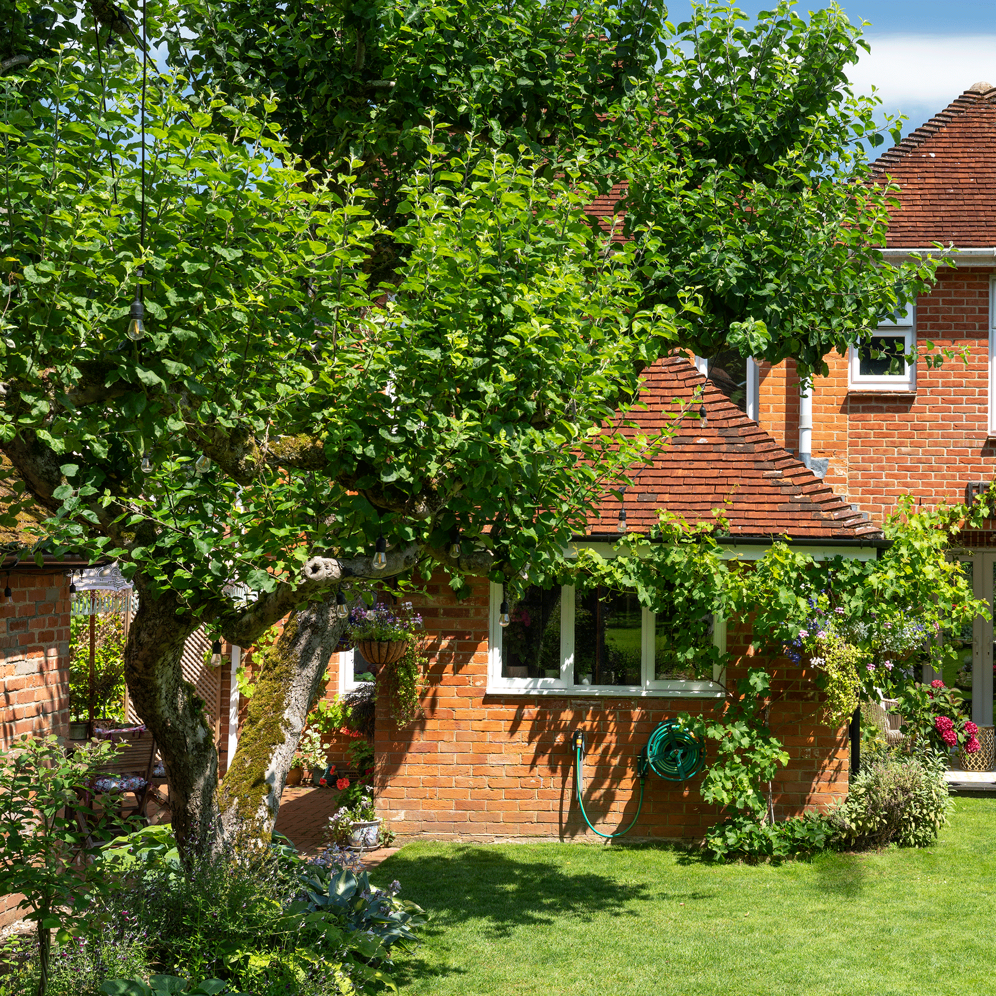 Red brick house exterior with tree and lawn