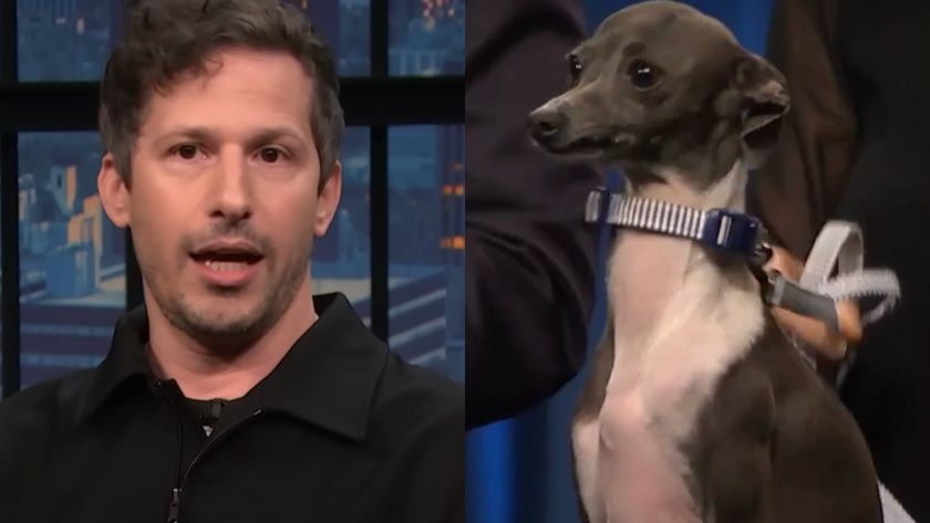 Andy Samberg and Frisbee Meyers shown side by side, appearing on Late Night with Seth Meyers.