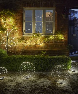 Outdoor christmas lights twined round a small tree and individual globes lights on the lawn