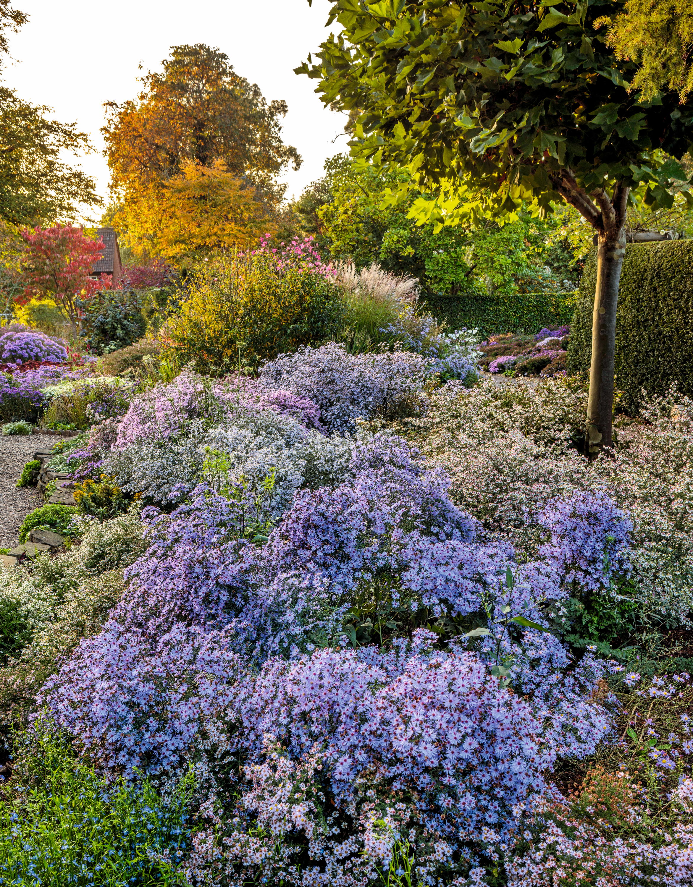 Beautiful garden border