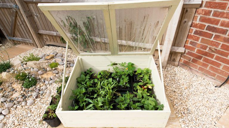 homemade cold frames make good DIY mini greenhouses