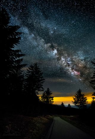 Jeff Stamer snapped this photo on the way to the observation tower at Clingmans Dome, in the Great Smoky Mountains National Park.