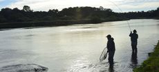 Fishing on The River Tweed