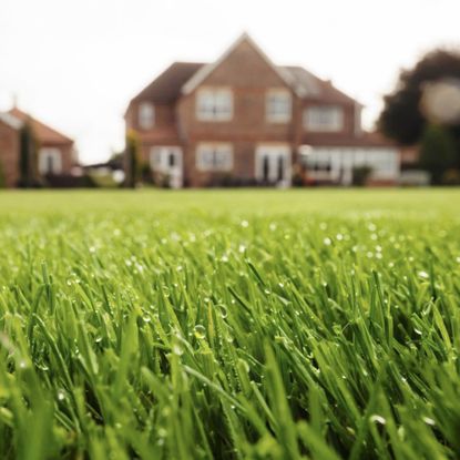 When Should You Aerate Your Lawn? The Experts Explain | Ideal Home