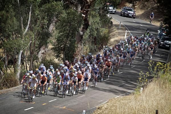 The bunch speeds along on a hot day Down Under.