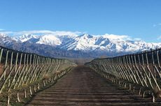 Terrazas de los Andes