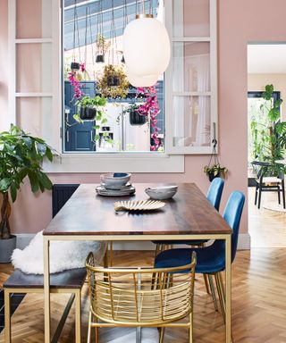 Painted pink dining room with internal white window looking through to kitchen, two long hanging opal glass oval pendants over dark wood dining table, two blue upholstered dining chairs, wooden dining bench and metallic chair for seating, dark wood flooring with hanging plants and floor plants in the background