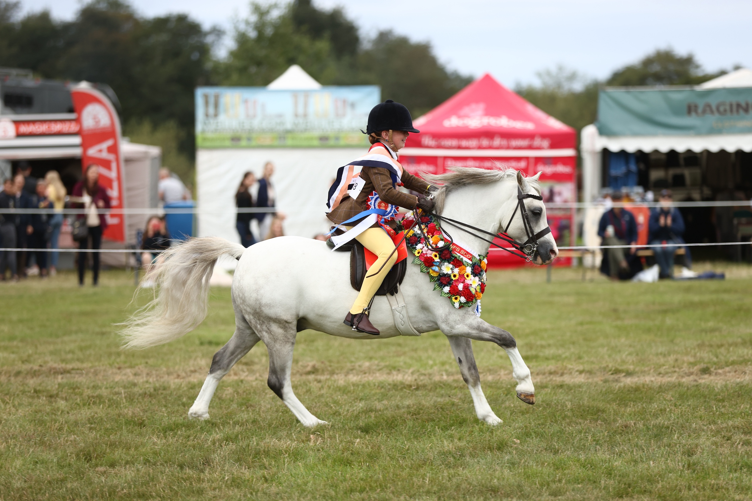 Dukeshill Penny Pincher takes the supreme championship at Scone Palace under his 10-year-old rider Olivia.