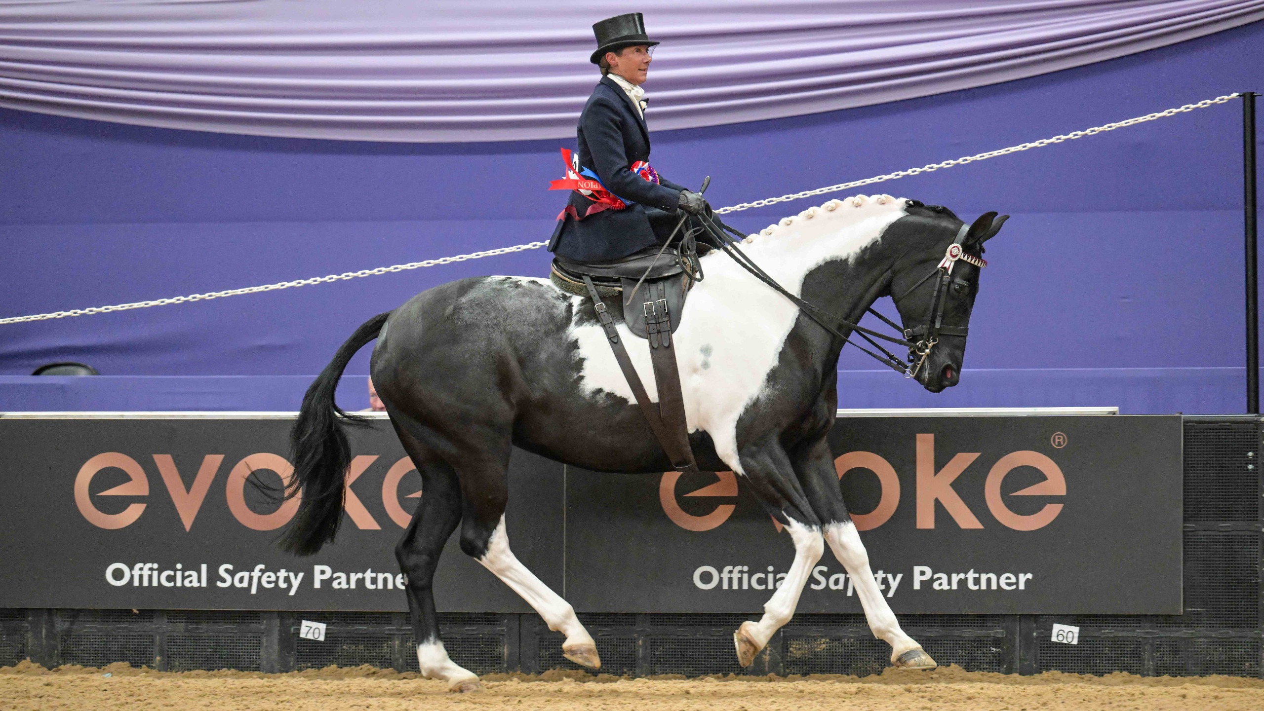 Coloured mare KBF Lucia and Jayne Ross canter from the arena triumphant having won the HOYS ladies show horse of the year championship 2026