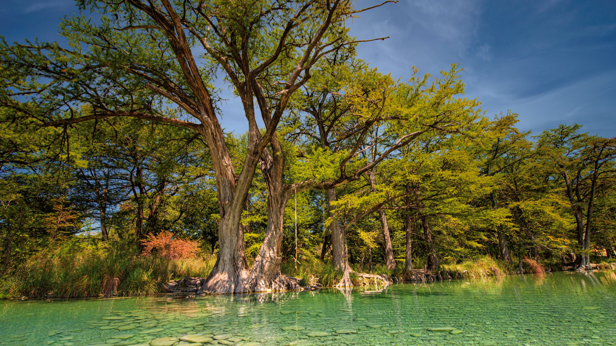 Trees by lake against sky,Garner State Park,United States,USA