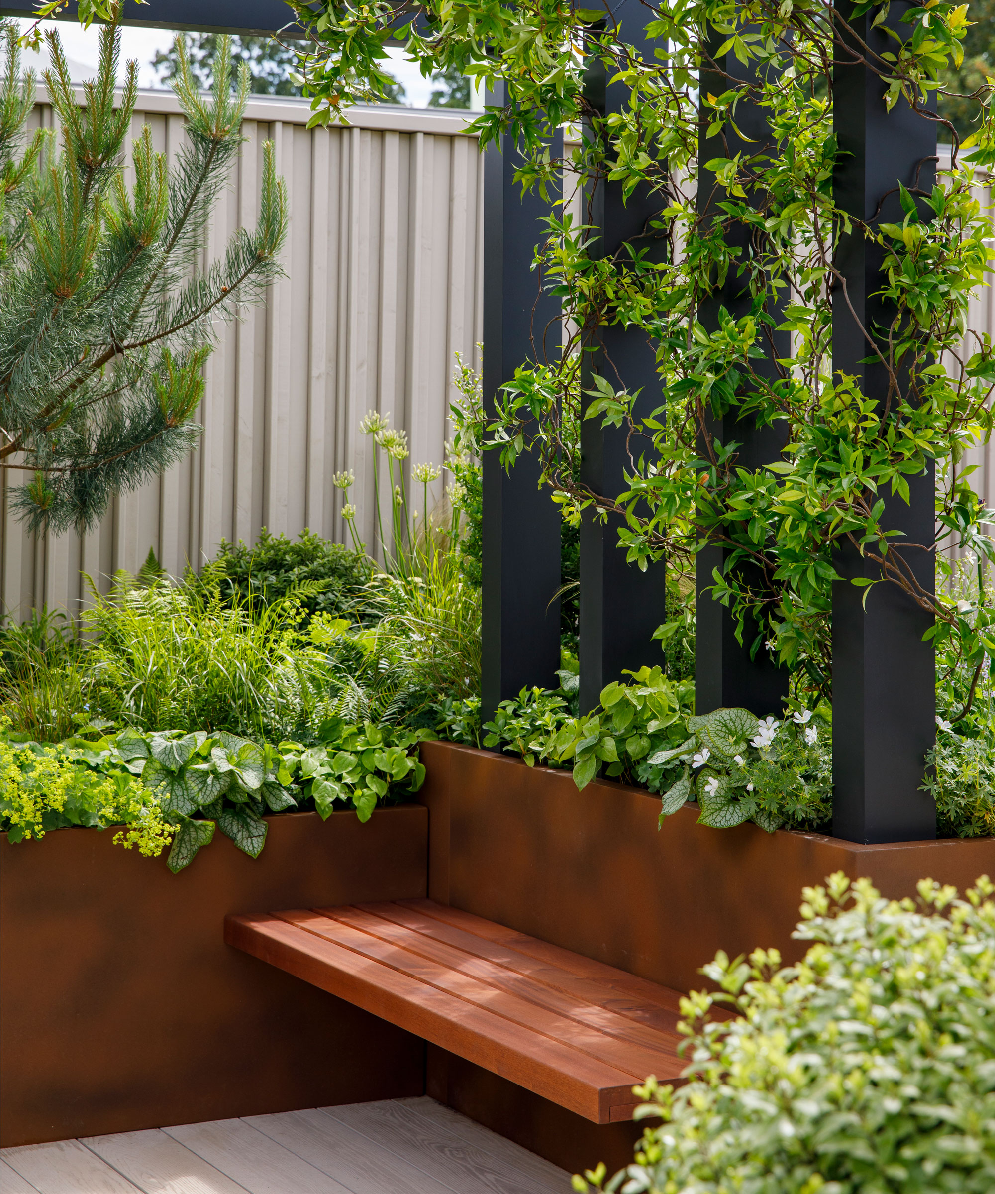 modern urban garden design with fence, raised beds, integrated bench and climbing plants
