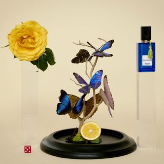 The striking images embody the idea of each scent.