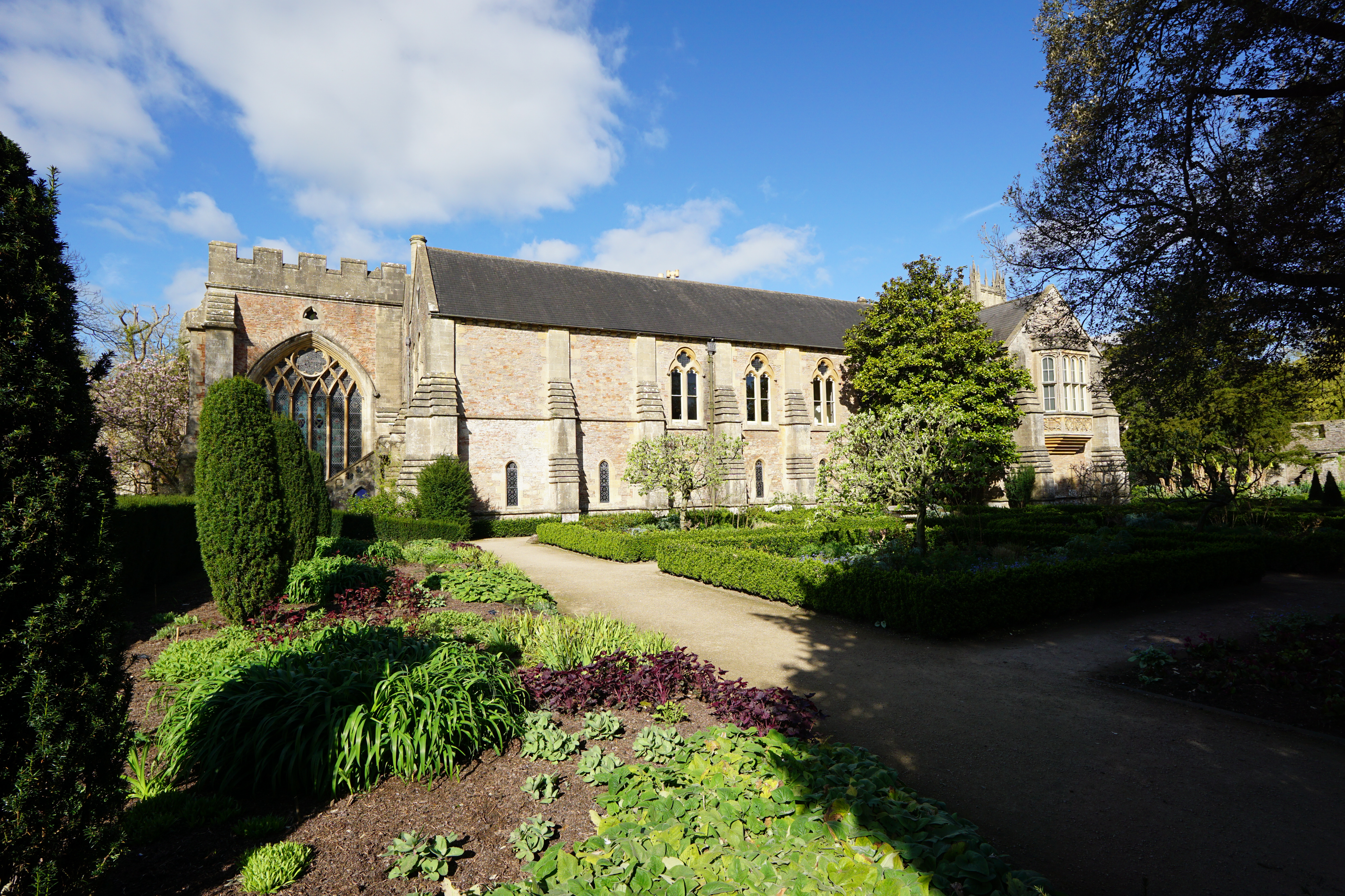 Sigma 12mm f/1.4 DC | C example shot