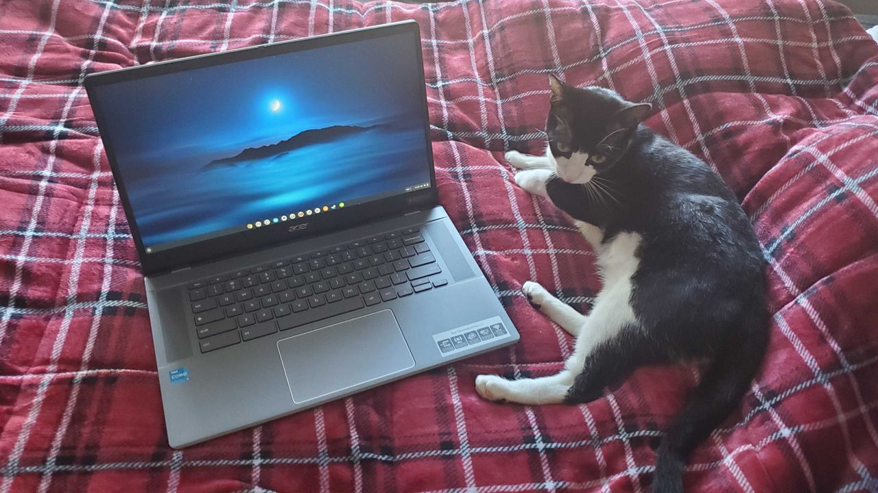 chromebook plus laptop sitting on bed with cat